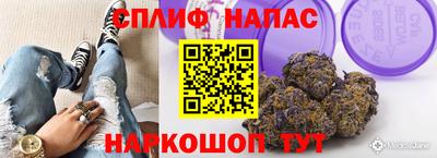 твердый Будённовск