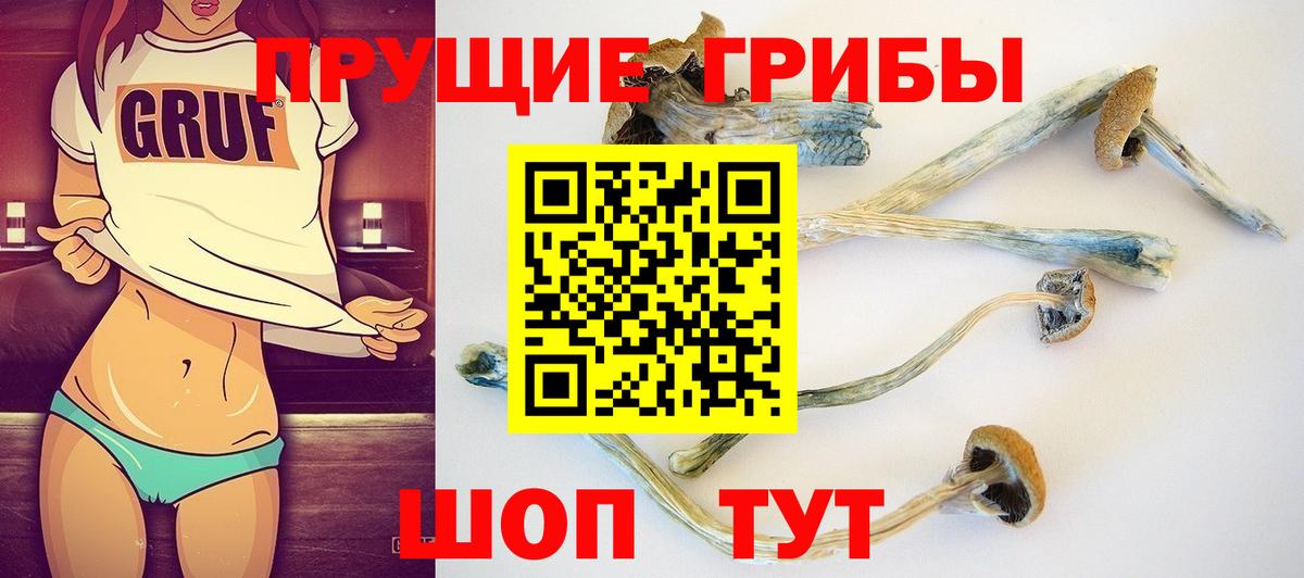 Азов  Псилоцибиновые грибы Cubensis  Галлюциногенные грибы Magic Shrooms  Вход с VPN 