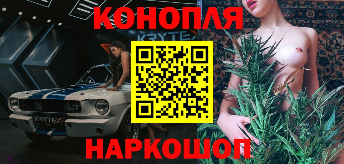 Бошки Шишки семена Азов